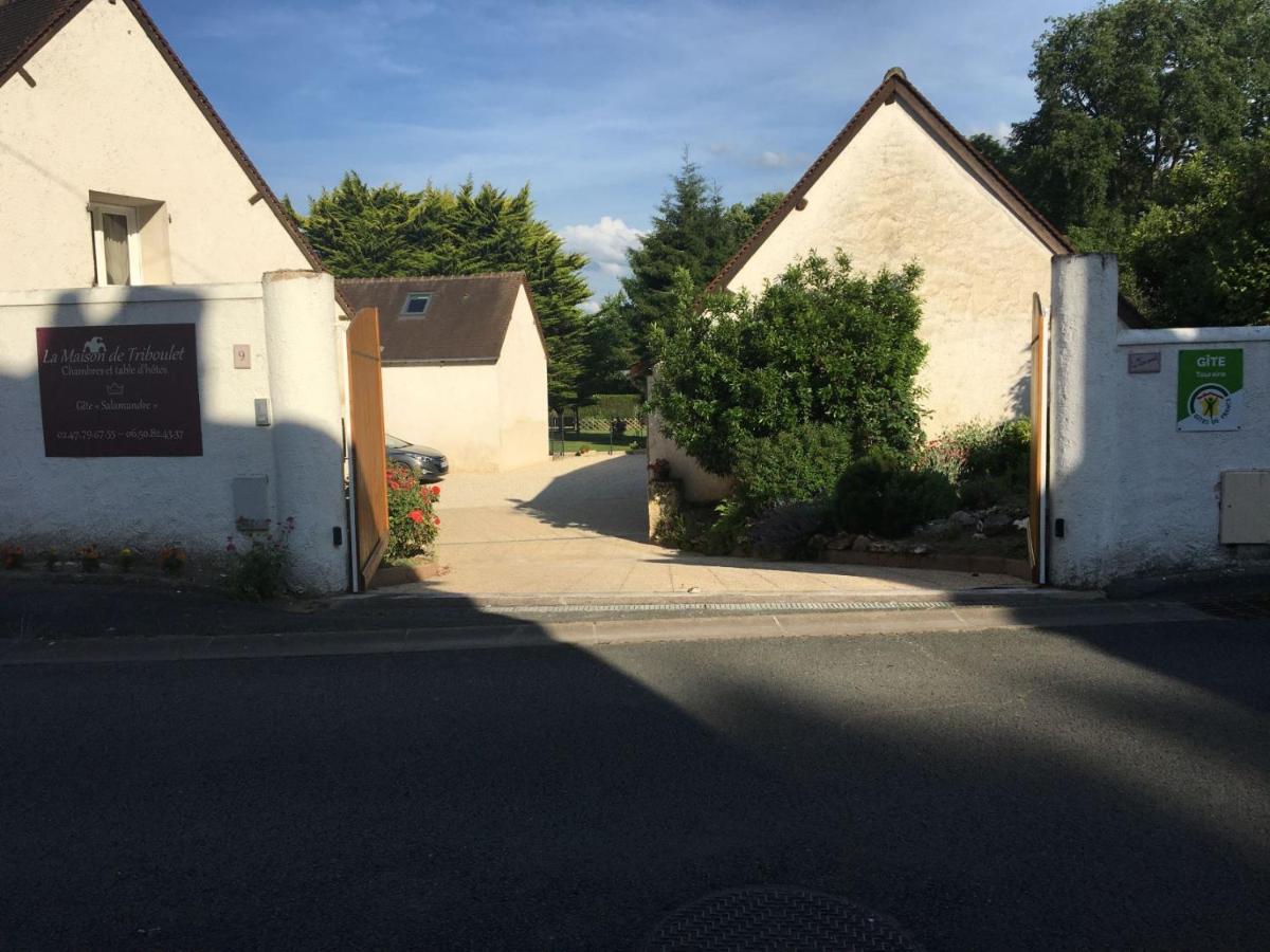 La Maison De Triboulet Chambres Et Table D'Hotes -Amboise- Pocé-sur-Cisse Εξωτερικό φωτογραφία